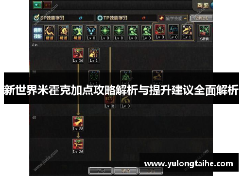 新世界米霍克加点攻略解析与提升建议全面解析